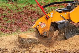 Windsor, IL Tree Removal Company